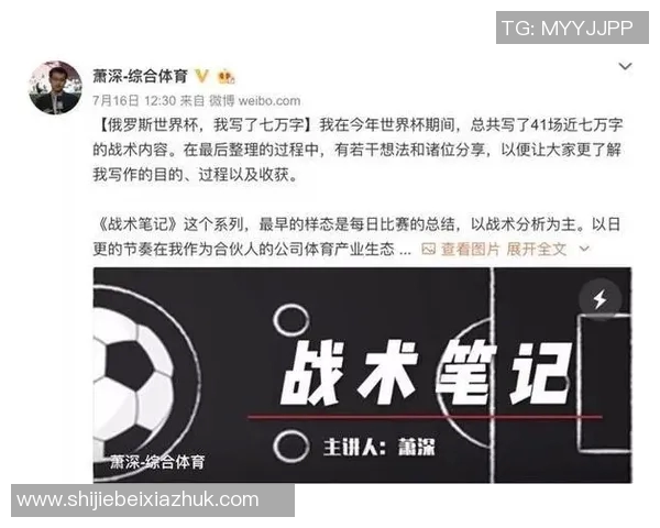 世界杯新闻广州排球队反击战术深度解析与实战应用探讨